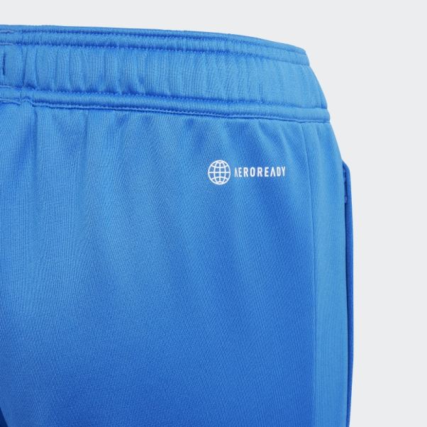 Adidas Royal Fc Bayern Condivo 22 Pantalon De Survêtement D'entraînement Mode