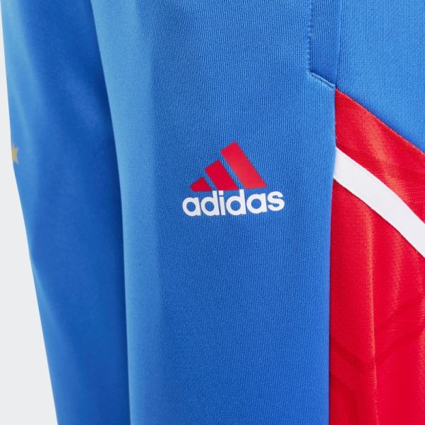 Adidas Royal Fc Bayern Condivo 22 Pantalon De Survêtement D'entraînement Mode