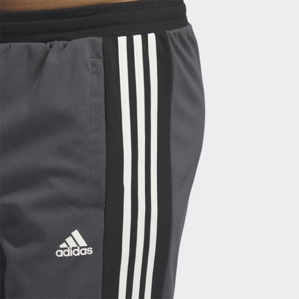 Adidas Survetement Color Block Gris