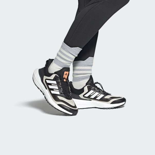 Chaussures Adidas Ultraboost 22 Cold.rdy 2.0 Aluminium