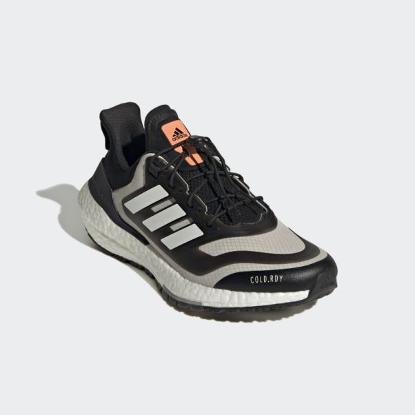 Chaussures Adidas Ultraboost 22 Cold.rdy 2.0 Aluminium
