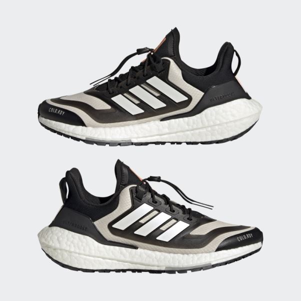 Chaussures Adidas Ultraboost 22 Cold.rdy 2.0 Aluminium