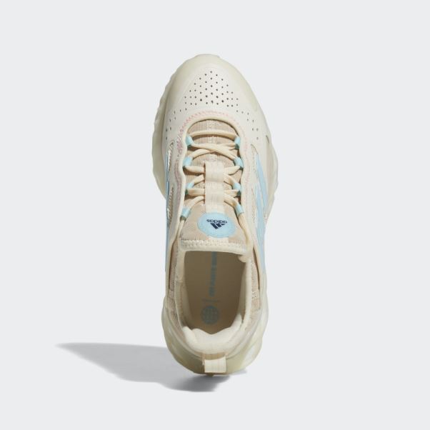 Teinte écru Chaud Adidas Web Boost Running Sportswear Lifestyle Chaussures
