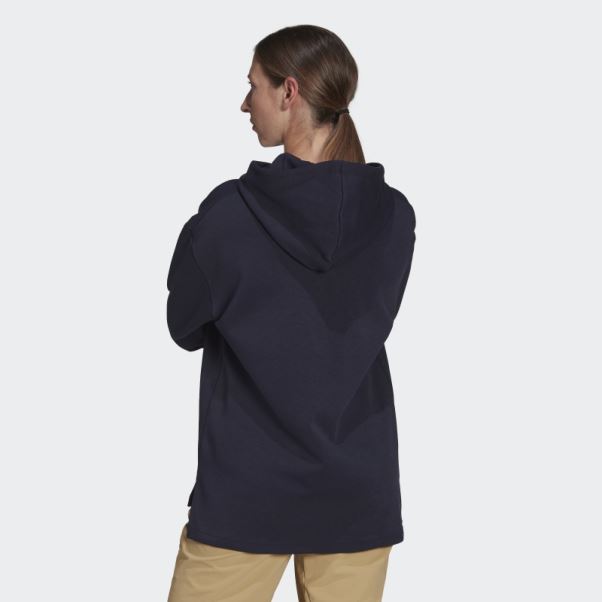 Encre Adidas Terrex Logo Sweat à Capuche Graphique