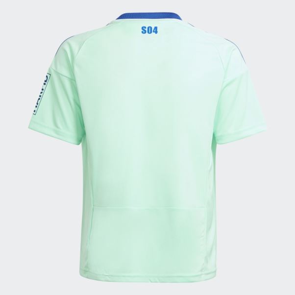 Fc Schalke 04 22/23 Troisième Maillot Adidas Menthe