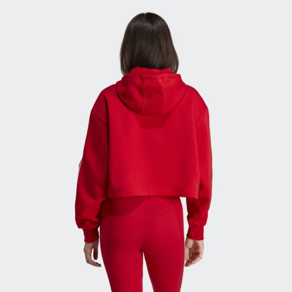 Adidas Adicolor Classics Sweat à Capuche Court écarlate