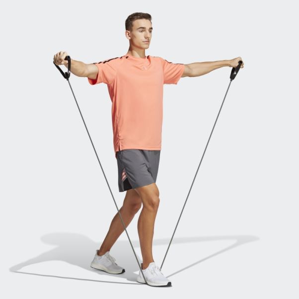 Adidas Train Icon 3-stripes Short D'entraînement Gris