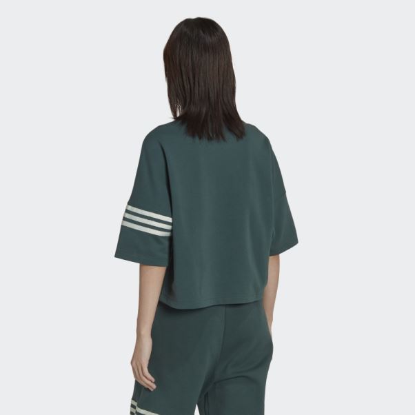 Tee Shirt Adicolor Neuclassics Vert Minéral Adidas
