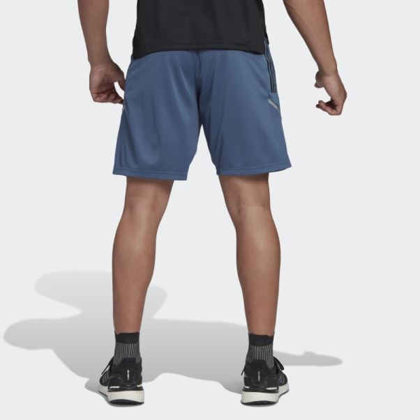 Short Rugby All Blacks Adidas Acier