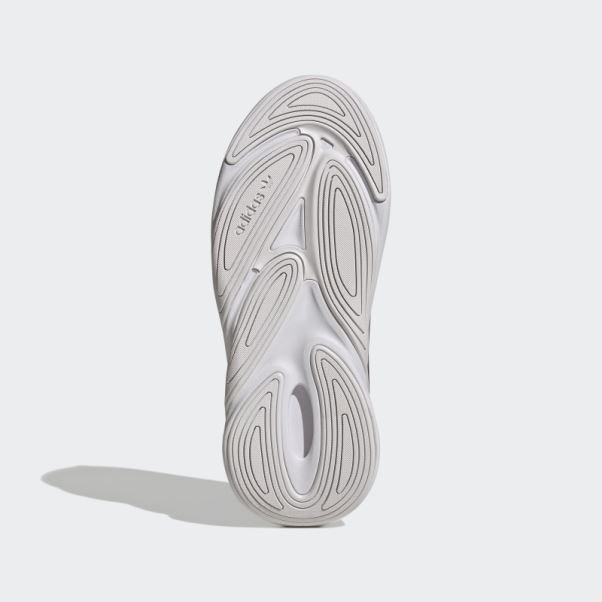 Ozelia Chaussures Bordeaux Adidas