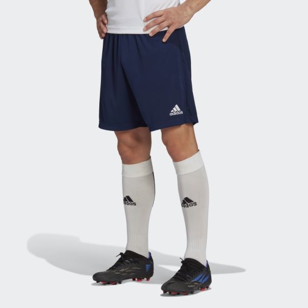 Entrada 22 Short D'entraînement Adidas Bleu Marine