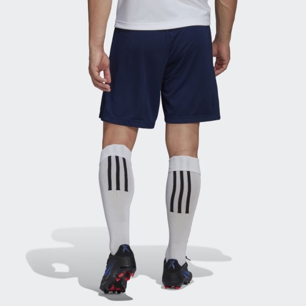 Entrada 22 Short D'entraînement Adidas Bleu Marine