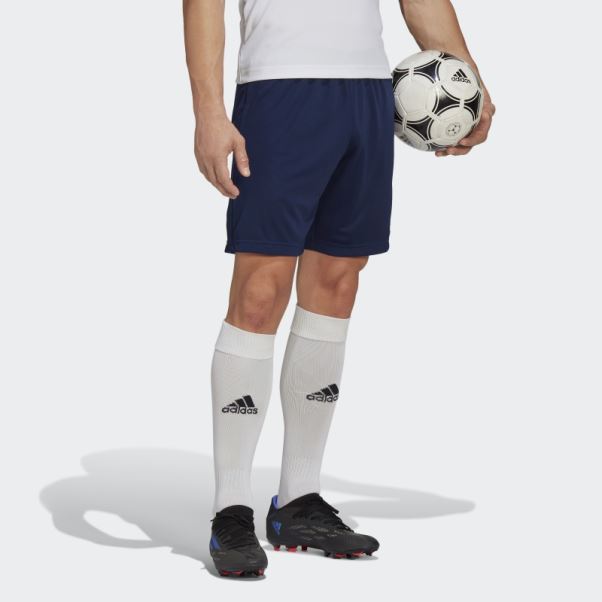 Entrada 22 Short D'entraînement Adidas Bleu Marine