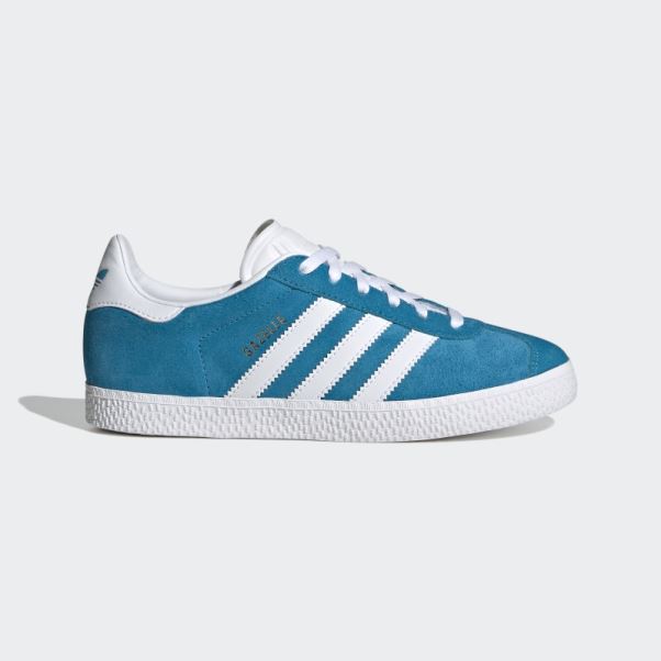 Adidas Gazelle Pantone