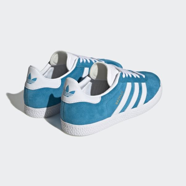 Adidas Gazelle Pantone