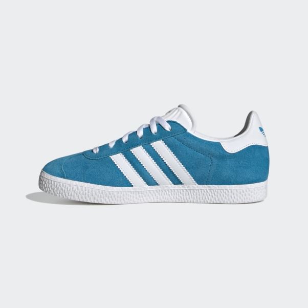 Adidas Gazelle Pantone