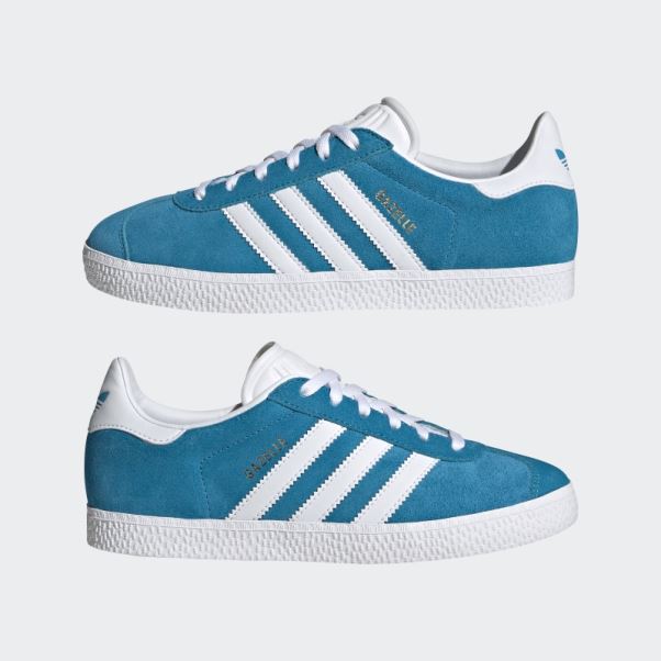 Adidas Gazelle Pantone