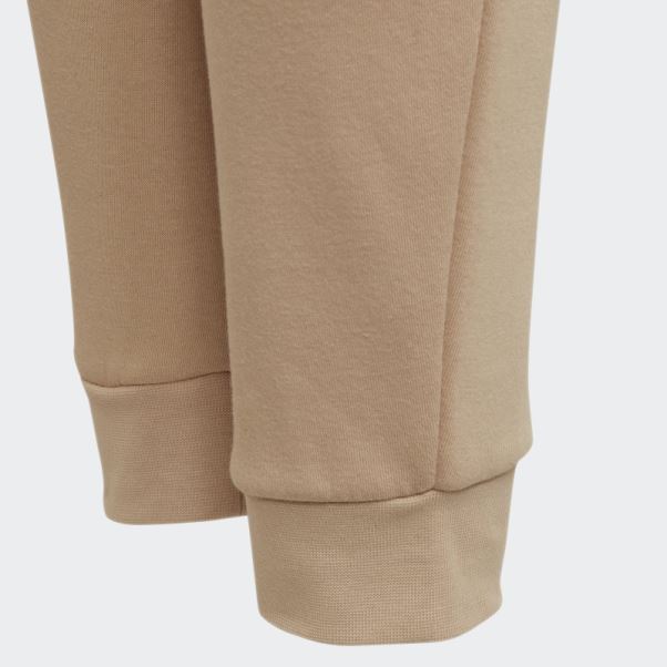 Pantalon De Jogging Adicolor Adidas Beige