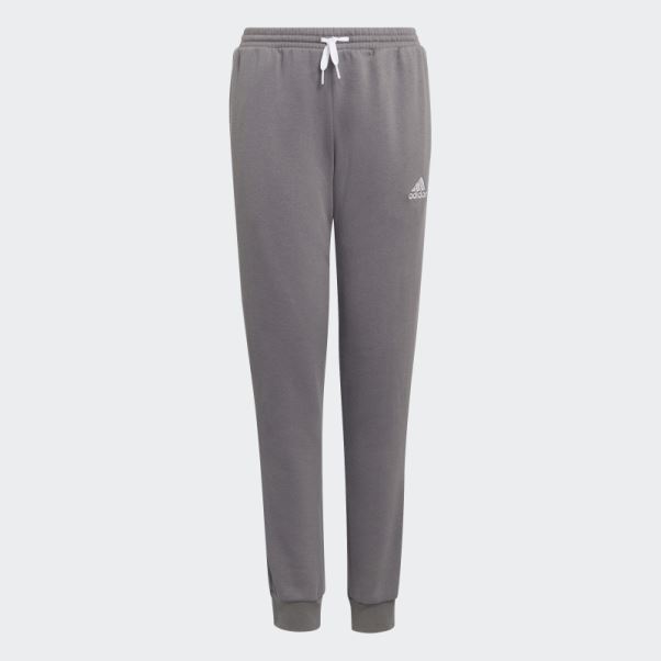 Entrada 22 Sweat Pantalon De Survêtement Gris Adidas