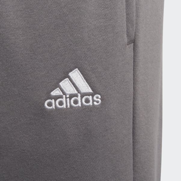 Entrada 22 Sweat Pantalon De Survêtement Gris Adidas