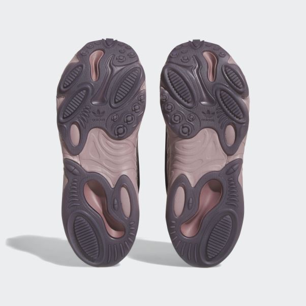 Adidas Oznova Violet