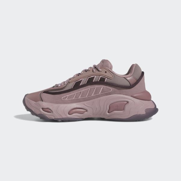 Adidas Oznova Violet