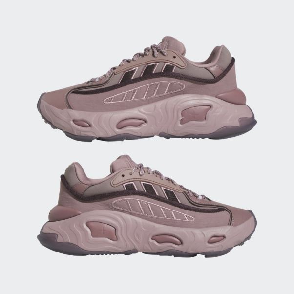 Adidas Oznova Violet