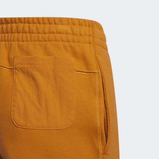 Pantalon De Jogging Adidas Focus Orange