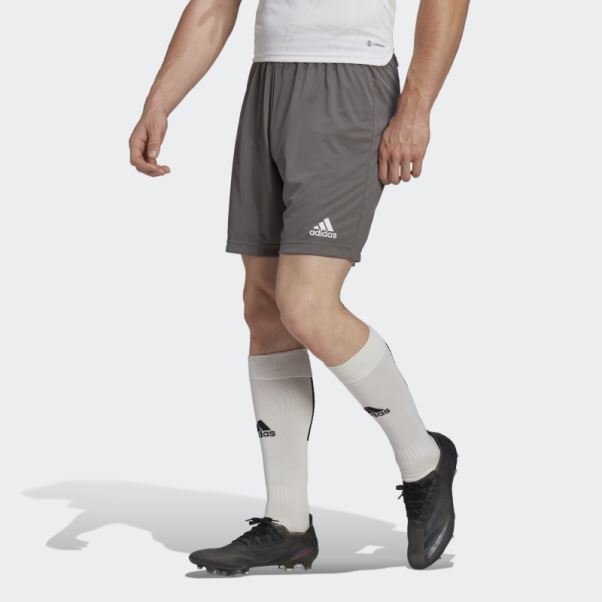 Short Adidas Entrada 22 Gris
