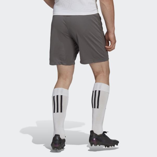 Short Adidas Entrada 22 Gris