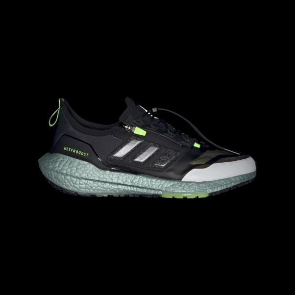 Adidas Ultraboost 21 Gore-tex Chaussures De Course Blanc