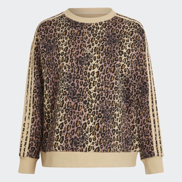 Sweat Adidas Crew (taille Plus) Beige