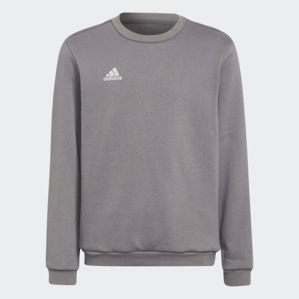 Sweat Adidas Entrada 22 Gris