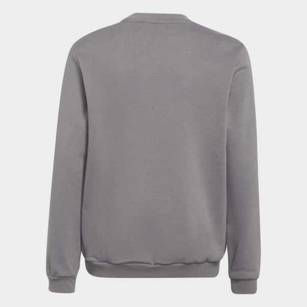 Sweat Adidas Entrada 22 Gris