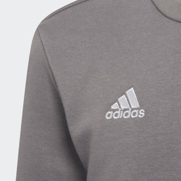 Sweat Adidas Entrada 22 Gris