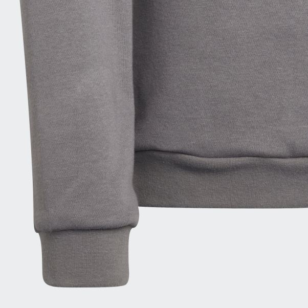 Sweat Adidas Entrada 22 Gris