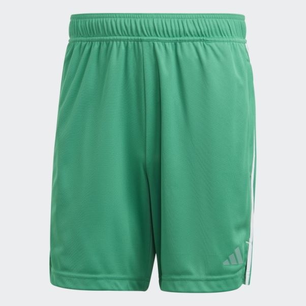 Short De Base D'entraînement Adidas Court Vert