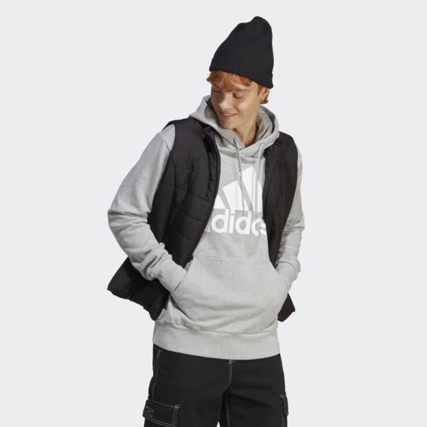 Sweat à Capuche Gris Moyen Adidas Essentials French Terry Gros Logo