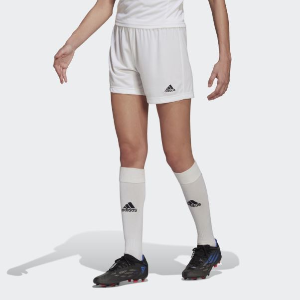 Entrada 22 Short Blanc Adidas