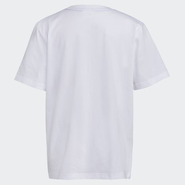Adidas Paint Badge Of Sport T-shirt Blanc