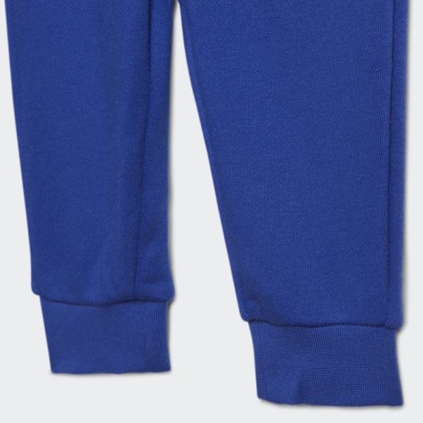 Adicolor Sweat à Capuche Entièrement Zippé Adidas Bold Bleu