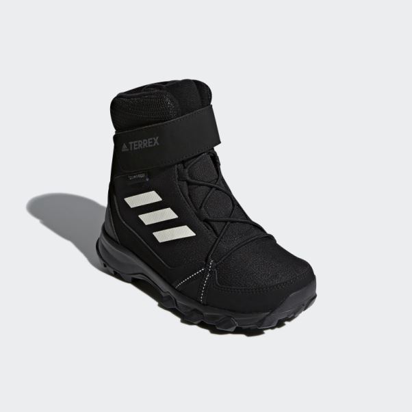 Adidas Terrex Snow Cf Cp Cw Chaussures Noir