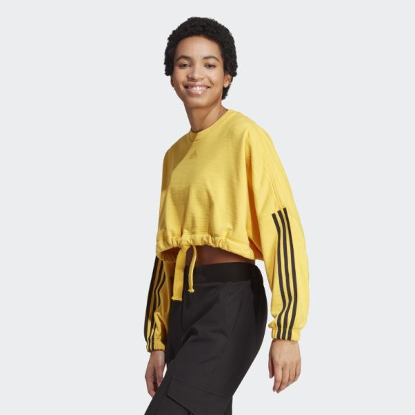 Sweat Polyvalent Court De Danse Adidas Or