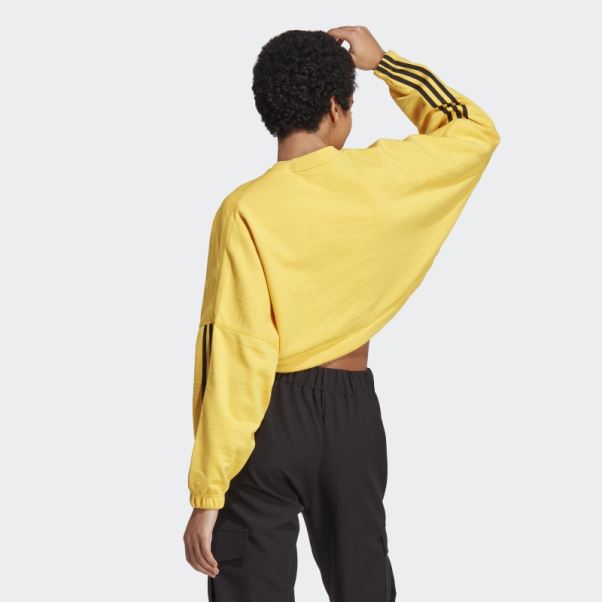 Sweat Polyvalent Court De Danse Adidas Or