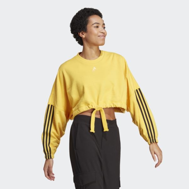 Sweat Polyvalent Court De Danse Adidas Or