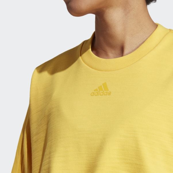 Sweat Polyvalent Court De Danse Adidas Or