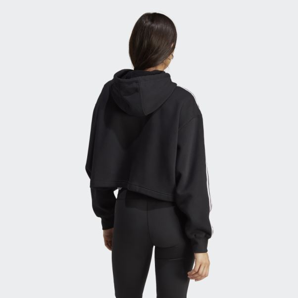 Sweat à Capuche Court Adidas Adicolor Classics Noir