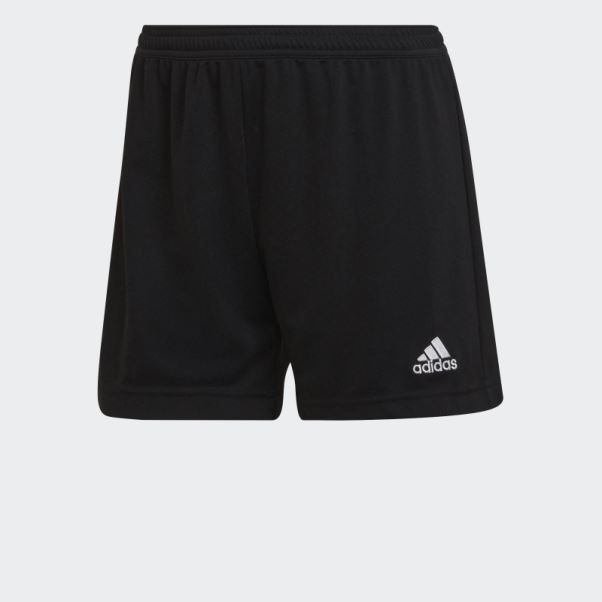 Hot Entrada 22 Short Adidas Noir