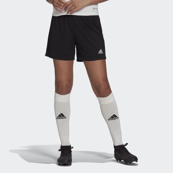 Mode Entrada 22 Short Adidas Noir