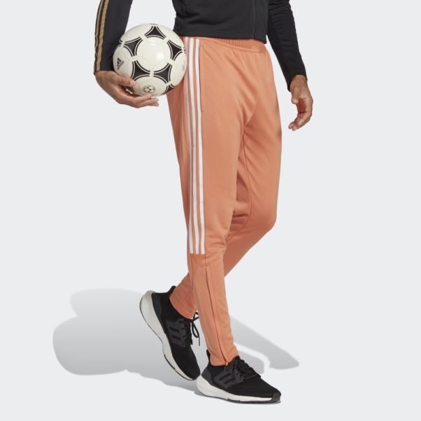 Pantalon Tiro Cuivré Brumeux Adidas